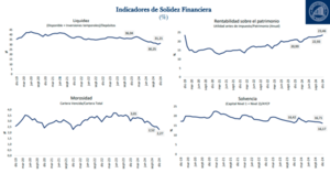 Rentabilidad de bancos y financieras creció 23,46% a diciembre de 2024, según informe del Banco Central | Locales | 5Días