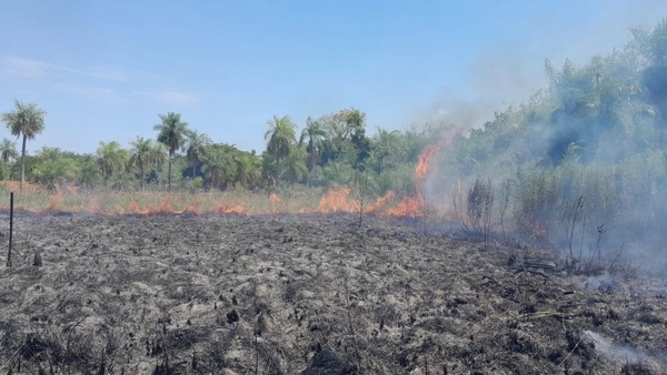 Bomberos combaten incendio que destruye tres hectáreas en San Bernardino