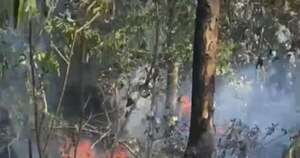 La Nación / Bomberos controlan dos incendios forestales en Ypané