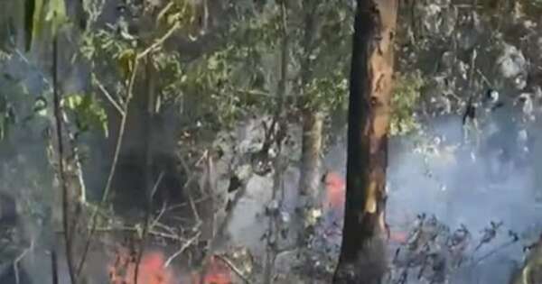 La Nación / Bomberos controlan dos incendios forestales en Ypané