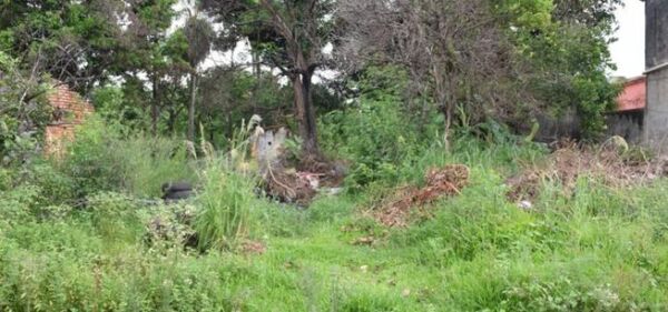 Intervención Municipal en Terreno Baldío del Barrio San Blas