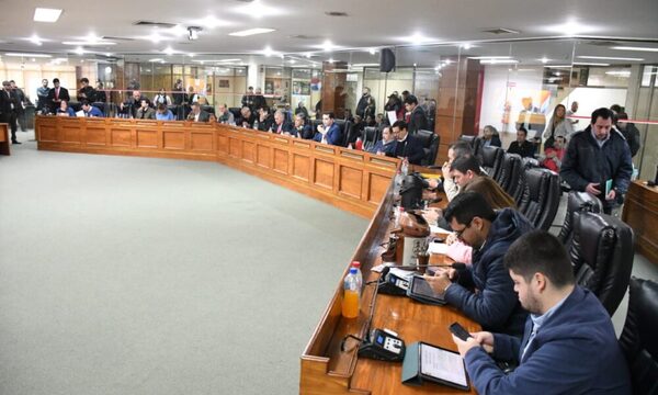 Concejales de Asunción analizan ceder algunos terrenos al MEC y a Salud