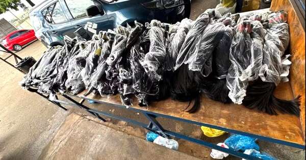 Diario HOY | Brasil incauta casi 200 kilos de cabello de contrabando desde CDE