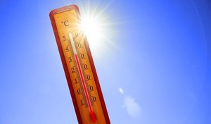 Los peligros del Golpe de Calor en esta época del año - 1000 Noticias