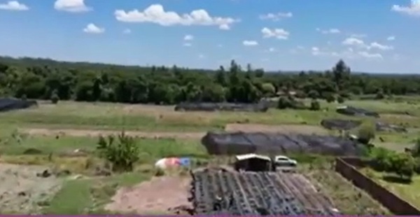 Agricultores denuncian destrucción de cultivos en disputa por terreno - SNT