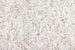 Paraguay, Costa Rica y España transformarán residuos del arroz en biomateriales - Ciencia - ABC Color