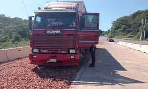 Camión quedó sin frenos y conductor usó rampa de frenado – Prensa 5