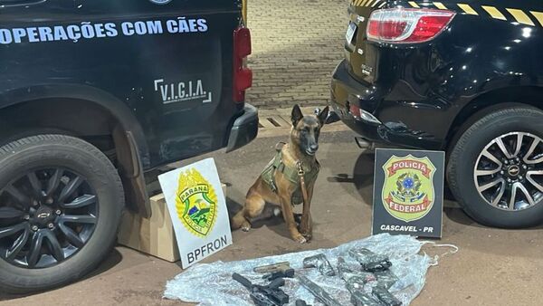 Agente de cuatro patas localiza fusiles en camión brasileño