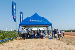 Dekalpar presentó sus variedades de soja con optimas respuestas en la región de Bergthal