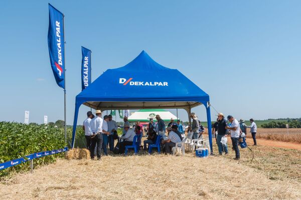 Dekalpar presentó sus variedades de soja con optimas respuestas en la región de Bergthal
