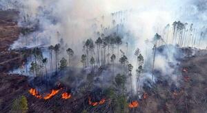 Paraguay suma 400 incendios en lo que va del a帽o en medio de altas temperaturas