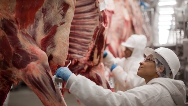Aranceles de EE.UU. a México podrían afectar a Paraguay: más carne mexicana quedaría en su mercado interno