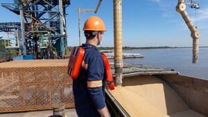 Industria aceitera cierra 2024 con nivel más bajo en 10 años