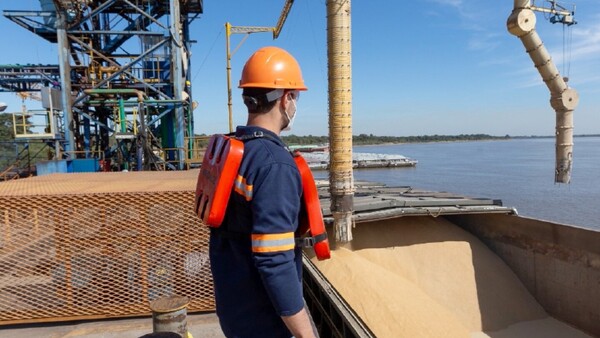 Industria aceitera cierra 2024 con nivel más bajo en 10 años