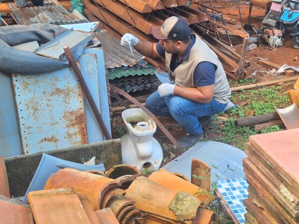 SENEPA realizará primer levantamiento de índice larvario en Itapúa para prevenir enfermedades transmitidas por vectores