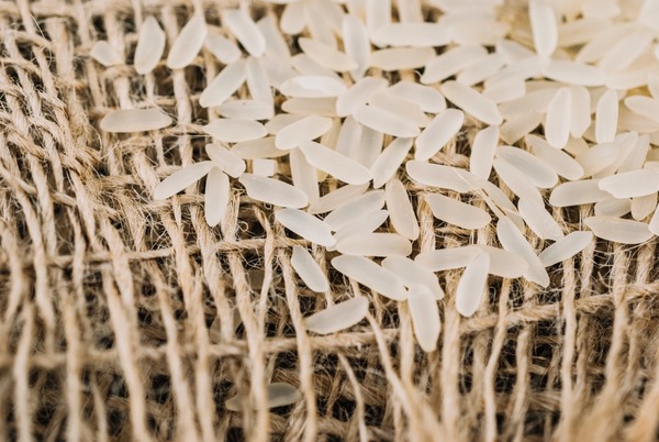 Paraguay se une a Costa Rica y España en un innovador proyecto que busca valorizar la cascarilla de arroz - MarketData