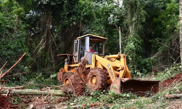 Inician trabajos para la construcción de pista de atletismo en la UNE