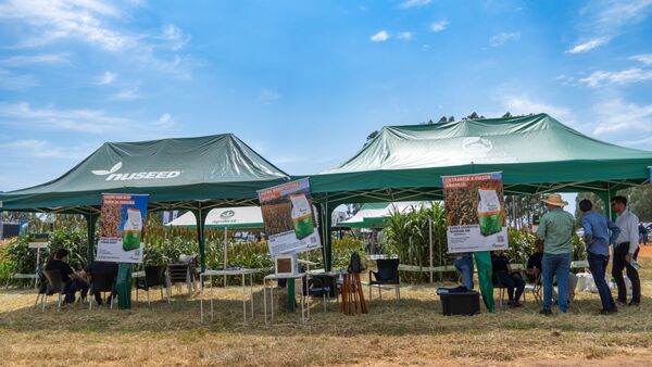 Jornada de la Cooperativa Sommerfeld 2025: Nussed promueve variedades de sorgo como alternativa en zafriña