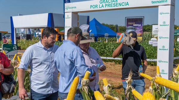 En Sommerfeld, Tecnomyl dio visibilidad a maíces de Agroceres para zafriña