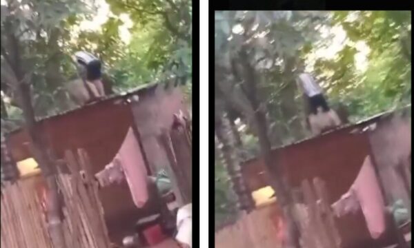 (Video) Hombre rompió a martillazos el techo de la casa de su ex, pero “no le pegó” a la mujer y quedó libre
