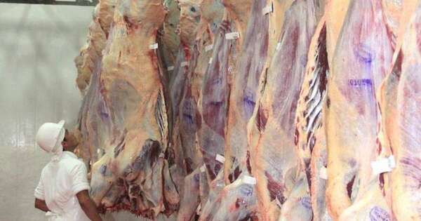 La Nación / Envío de carne a Estados Unidos prosigue con normalidad y se apunta a nuevos mercados