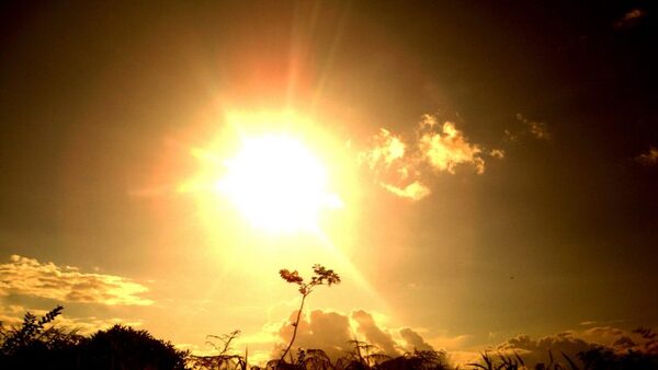 Alerta climática: enero de 2025 rompió récords de temperatura y se consolidó como el más cálido hasta la fecha - ADN Digital