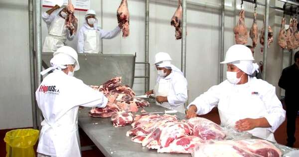 La Nación / Paraguay busca enviar carne al Japón