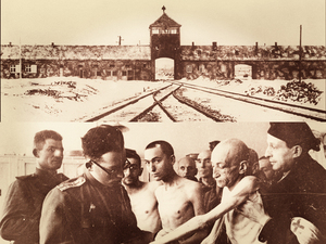Auschwitz: el genocidio industrial del horror