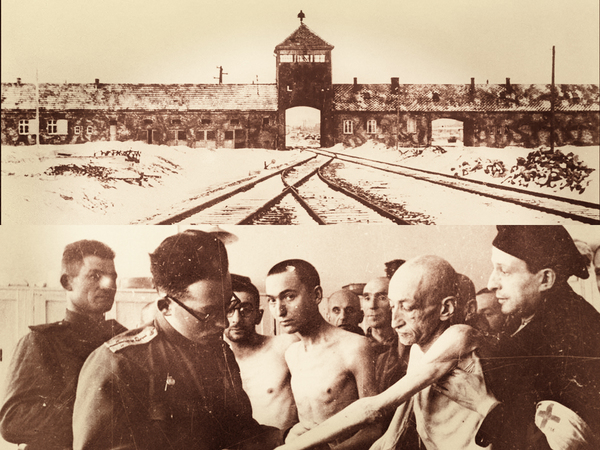 Auschwitz: el genocidio industrial del horror