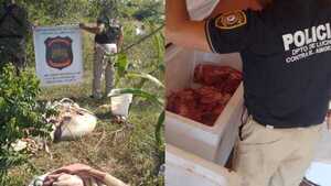 Importante golpe al abigeato en Itapúa: Detienen a dos personas y recuperan carne vacuna