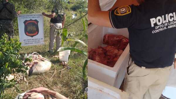 Importante golpe al abigeato en Itapúa: Detienen a dos personas y recuperan carne vacuna