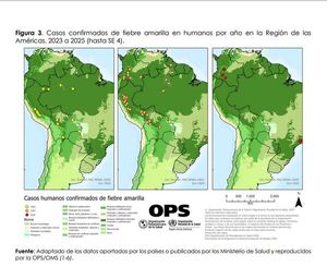 Alerta regional de la OPS ante el aumento de casos de fiebre amarilla - .::Agencia IP::.