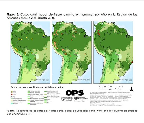 Alerta regional de la OPS ante el aumento de casos de fiebre amarilla - .::Agencia IP::.