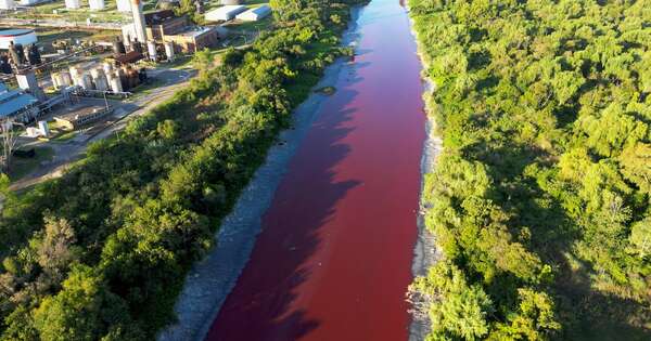 La Nación / Arroyo de Buenos Aires está teñido de rojo por contaminación