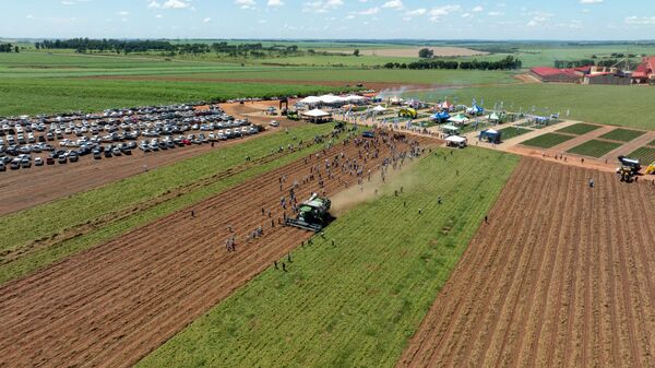 Maní en Caaguazú: Alternativa en la rotación de cultivos y una opción resistente ante climas variables