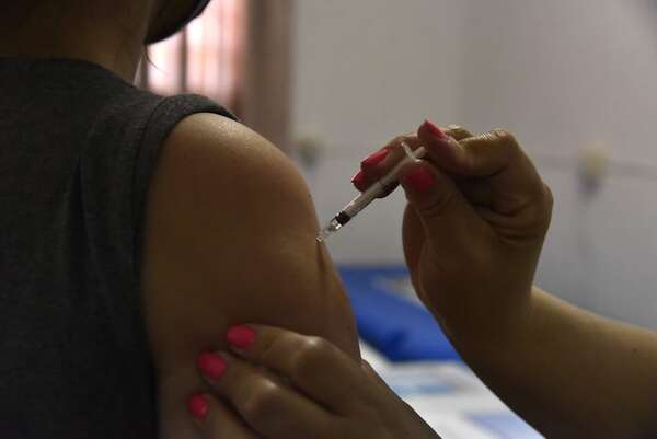 Alerta por incremento de casos de fiebre amarilla, que ya provocó muertes en cinco países de la región - Nacionales - ABC Color