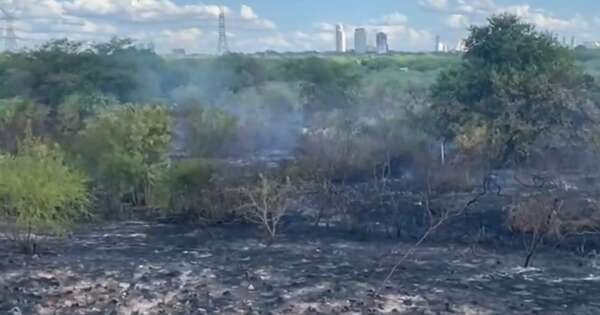 Diario HOY | Controlan incendio en la Costanera Norte: presumen que serían provocados