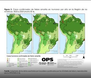 Alerta regional de la OPS ante el aumento de casos de fiebre amarilla