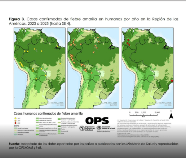 Alerta regional de la OPS ante el aumento de casos de fiebre amarilla