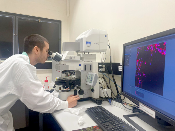Paraguayo logra hito científico: crear el primer embrión canguro mediante fertilización in vitro