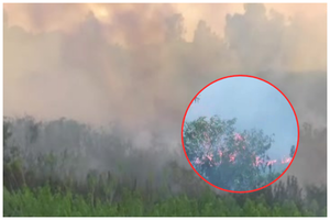 Fuego se reactiva en la Costanera Norte - SNT