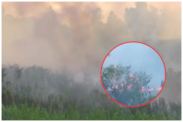 Fuego se reactiva en la Costanera Norte - SNT