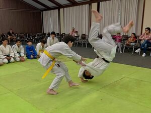 El Centro Paraguayo Japonés ofrece becas de estudio para diversas disciplinas - ADN Digital