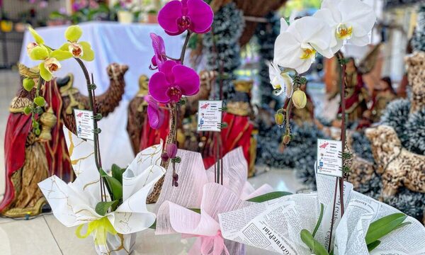 No te quedes sin adquirir tu regalo: Feria y Exposición de Orquídeas por el Día de los Enamorados