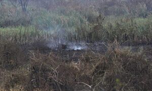 Quemó pasto en su patio y murió por inhalar humo