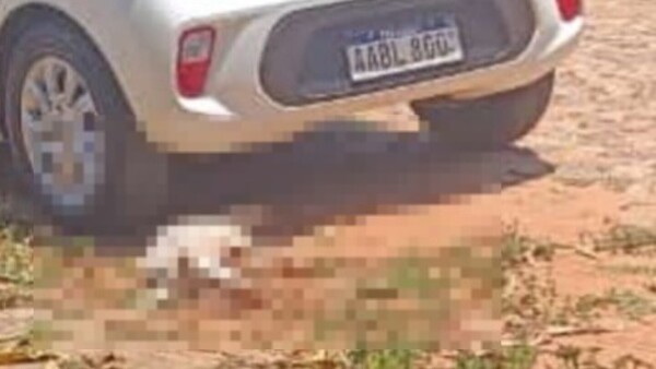Arrolló varias veces a un perrito y huyó