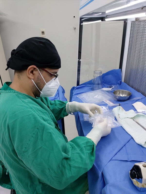 Medio centenar de pacientes fueron beneficiados con Injertos Óseos en el IPS Ingavi - 1000 Noticias