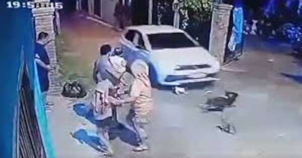 Diario HOY | San Estanislao: imputan a un hombre por atropellar y matar a dos perros