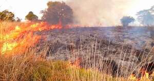 Diario HOY | Un muerto tras quema de pastizal en zona rural