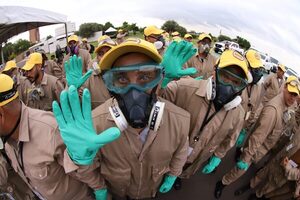 Dengue: notificaciones ascienden a más de 1.000 sospechas por semana - .::Agencia IP::.